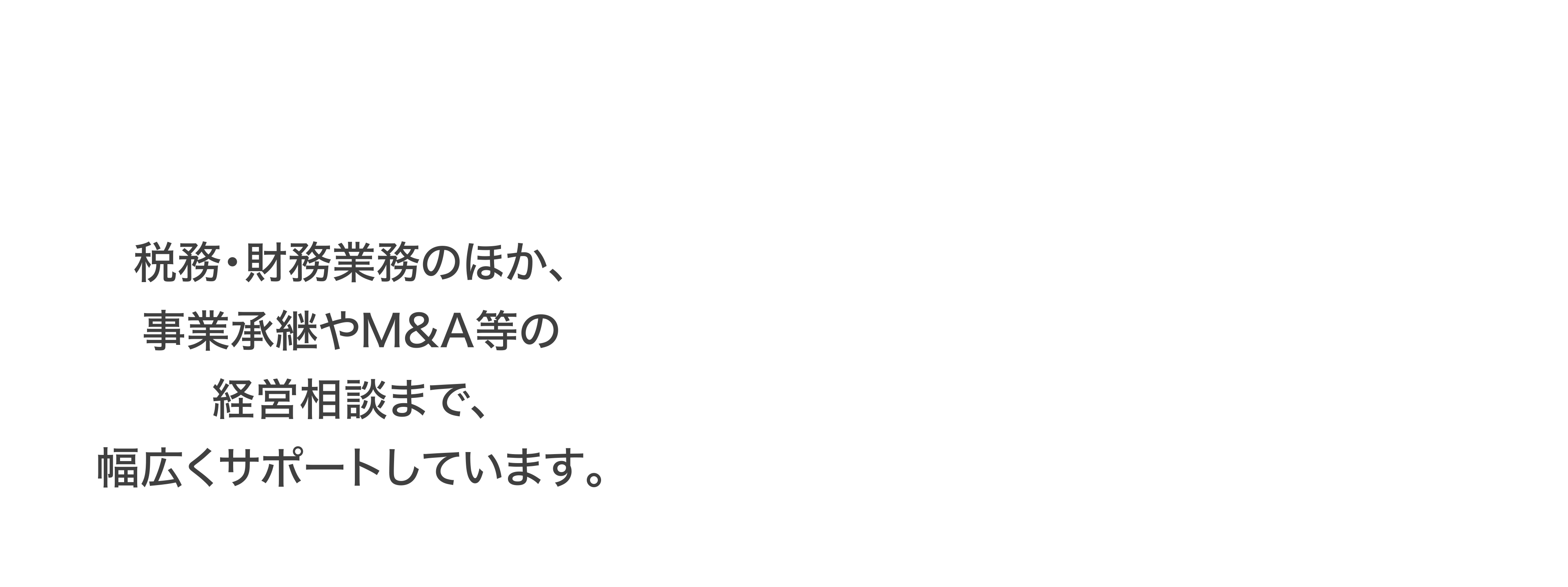 税務・財務業務のほか、事業承継やM&A等の経営相談まで、幅広くサポートしています。